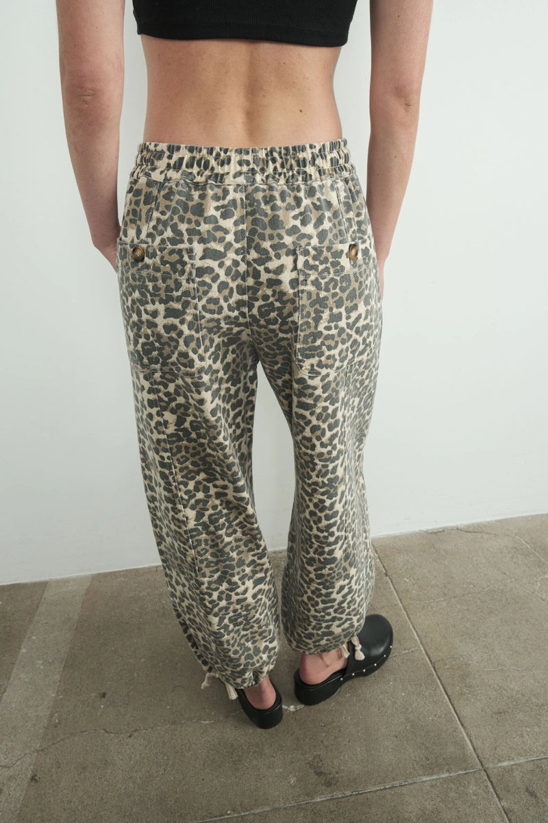 Marla Leopard Print Cotton Pull on Pant by Aaron & Amber