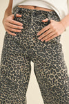 Leopard Print Pant by Miou Muse