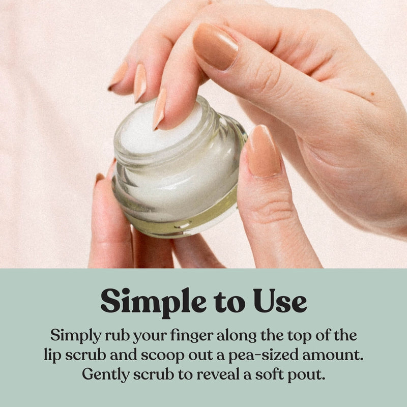 Poppy & Pout Exfoliating Lip Scrub in Multiple Flavor Options