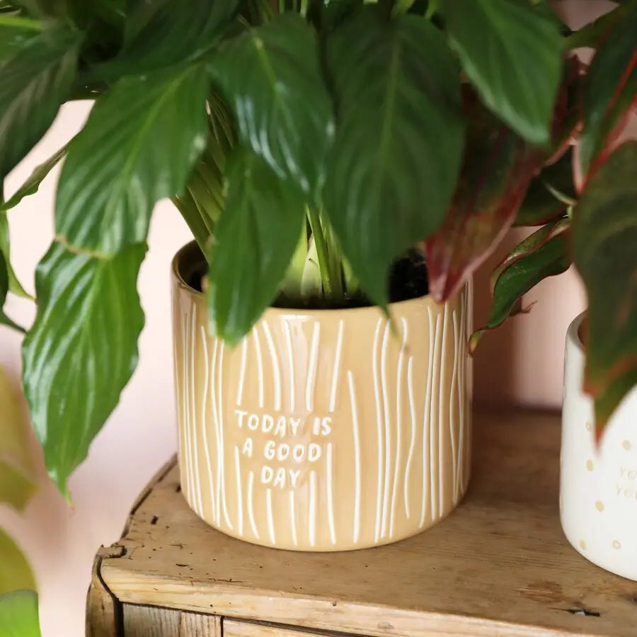 good plant pots A Good Day Planter Lisa Angel Homeware Collection Homeware Plants Houseplants