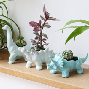 White Stegosaurus Dinosaur Planter