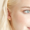 Cat and Kitten Stud Earrings in Gold