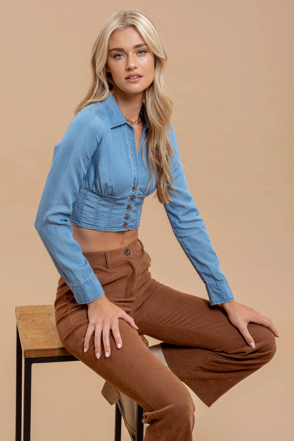 Megan Chambray Collared Corset Crop Top