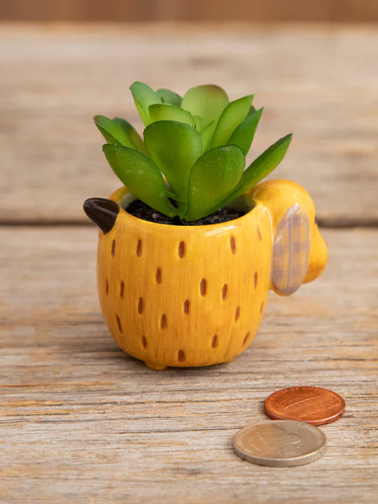 Yellow Dog Faux Succulent by Natural Life