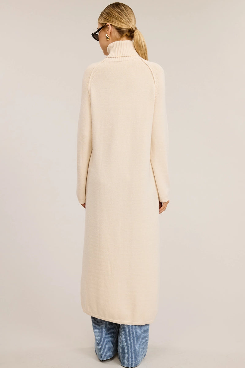 Caroline Turtleneck Sweater Dress