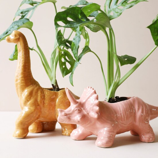 Pink Triceratops Dinosaur Planter