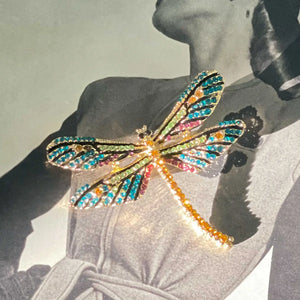 Dazzling Insect Brooches