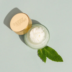 Poppy & Pout Exfoliating Lip Scrub in Multiple Flavor Options
