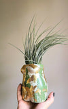 Concrete Juicy Booty Air Plant Pot | Lady Body Butt Planter in Green and Gold