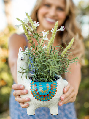 Llama Planter